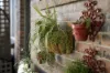 29 Sorell Street, George Town, Tas 7253-Image