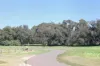 2B/19 Herdsman Parade, Wembley, WA 6014-Image