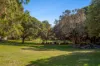 3/1 Ferris Street, Sunshine Beach, Qld 4567-Image
