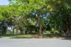 3/10 East Gordon Street, East Mackay, Qld 4740-Image