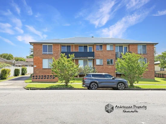3/102 Bridge Street, Waratah, NSW 2298