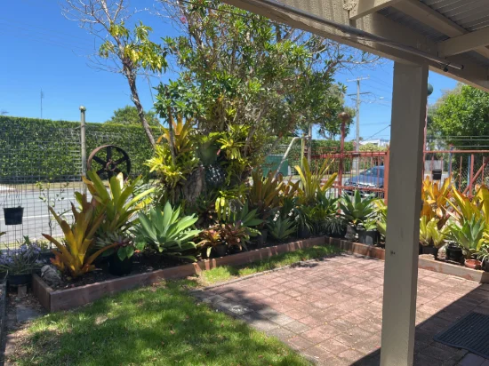 3/13 Hinley Avenue, Maroochydore, Qld 4558