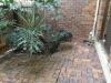 3/132 Sir Fred Schonell Drive, St Lucia, Qld 4067-Image