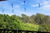 3/17 Rutledge Street, Coolangatta, Qld 4225-Image