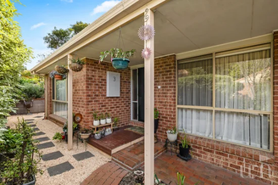 3/2 Village Close, Mount Martha, Vic 3934
