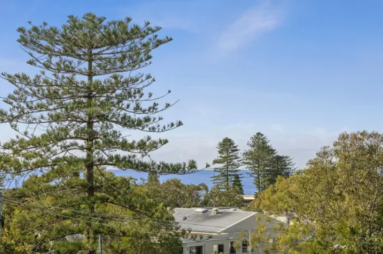 3/20 Seaview Avenue, Newport, NSW 2106