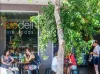 3/230, Clovelly NSW 2031-Image