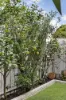 3/25 Ti-tree Grove East, Parkdale, Vic 3195-Image