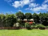 3/29 Burnet Street, Ballina, NSW 2478-Image