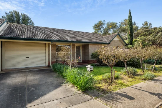 3/3 Burnley Grove, Mitchell Park, SA 5043