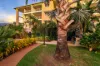 3/3 Mitaros Place, Parap, NT 0820-Image