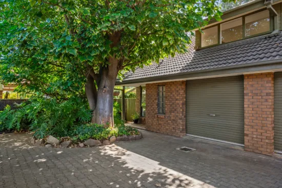 3/34 Maud Street, Unley, SA 5061