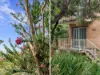 3/403 Crown Street, Wollongong, NSW 2500-Image