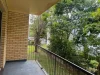 3/409 Hawthorne Road, Bulimba, Qld 4171-Image