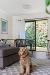 3/44 Volum Street, Manifold Heights, Vic 3218-Image