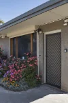 3/54 Edward Street, Sandringham, Vic 3191-Image