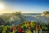 3/6 Tingira Place, Semaphore Park, SA 5019-Image