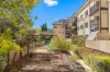 3/60 Henty Street, Braddon, ACT 2612-Image