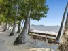 3/69-73 Arlington Esplanade, Clifton Beach, Qld 4879-Image