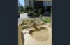 3/8-10 Peak Avenue, Main Beach, Qld 4217-Image