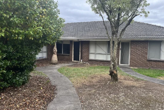 3/9 Peter Court, Dandenong, Vic 3175