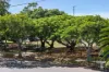 3/96 Victoria Terrace, Greenslopes, Qld 4120-Image