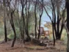 3 Spotswood Road, Dunalley, Tas 7177-Image