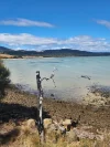 3 Spotswood Road, Dunalley, Tas 7177-Image