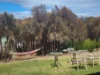 3 Spotswood Road, Dunalley, Tas 7177-Image