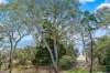 30/465 Esplanade, Torquay, Qld 4655-Image