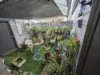 30/70 Bailey Street, Belmont, Vic 3216-Image