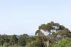303/64 Keilor Road, Essendon North, Vic 3041-Image