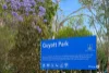 306/131 Sir Fred Schonell Drive, St Lucia, Qld 4067-Image
