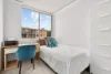 32/13-17 Stewart Street, Glebe NSW 2037-Image