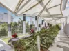 3204/43 Herschel Street, Brisbane City, Qld 4000-Image