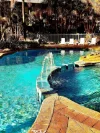 33/105 Old Coast Road, Pelican Point, WA 6230-Image