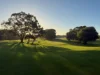 33/105 Old Coast Road, Pelican Point, WA 6230-Image
