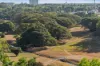 33/144 Smith Street, Darwin City, NT 0800-Image