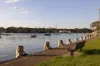 332/3 The Promenade, Chiswick, NSW 2046-Image