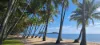 339/305-341 Coral Coast Drive, Palm Cove, Qld 4879-Image