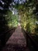 339/305-341 Coral Coast Drive, Palm Cove, Qld 4879-Image