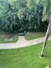 339/305-341 Coral Coast Drive, Palm Cove, Qld 4879-Image