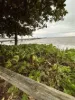 339/305-341 Coral Coast Drive, Palm Cove, Qld 4879-Image