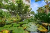 355/12 Salonika Street, Parap, NT 0820-Image