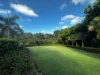 36/97a Burnett Street, Buderim QLD 4556-Image