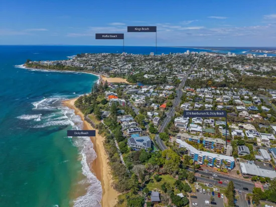 37/6 Beerburrum Street, Dicky Beach, Qld 4551