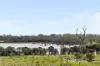39/11 Elvire Street, Viveash, WA 6056-Image