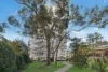 3A/10 Abbott Street, Cammeray, NSW 2062-Image