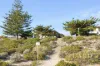 3a/297 West Coast Highway, Scarborough, WA 6019-Image