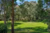 3B Bedingfield Way, Australind, WA 6233-Image